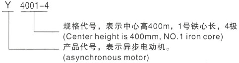 西安泰富西玛Y系列(H355-1000)高压YE2-180L-6三相异步电机型号说明