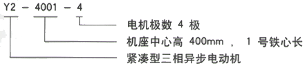 YR系列(H355-1000)高压YE2-180L-6三相异步电机西安西玛电机型号说明